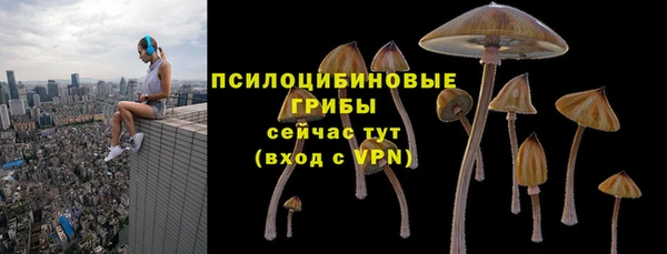 прущие крисы Михайлов