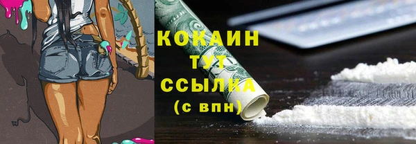 mdpv Белая Холуница