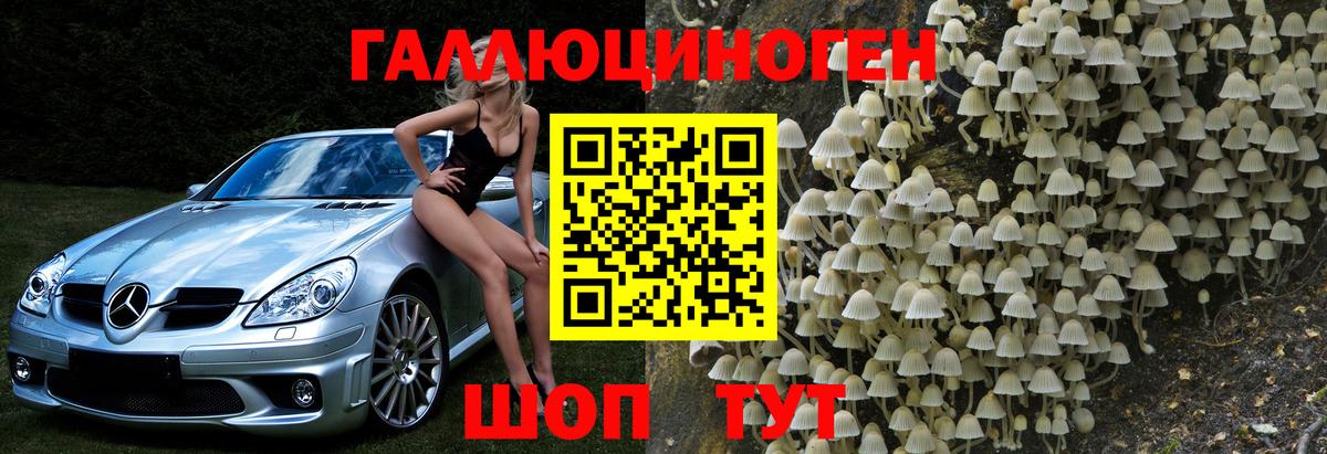 Галлюциногенные грибы Magic Shrooms  Йошкар-Ола 